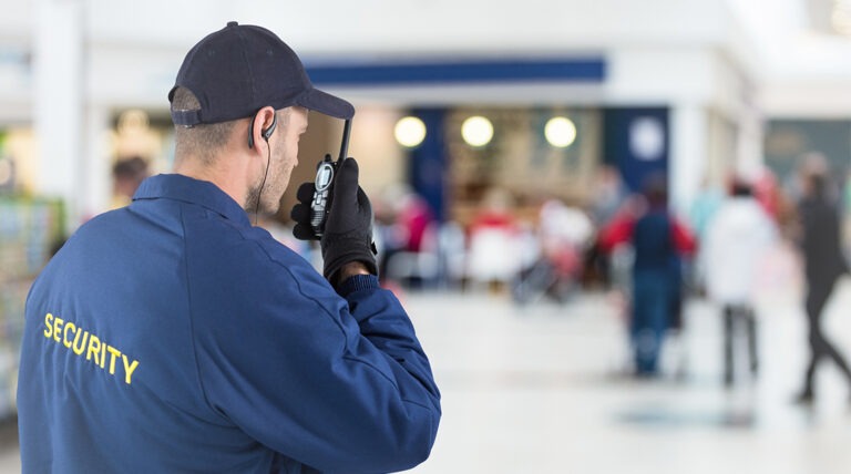 security-officer-website