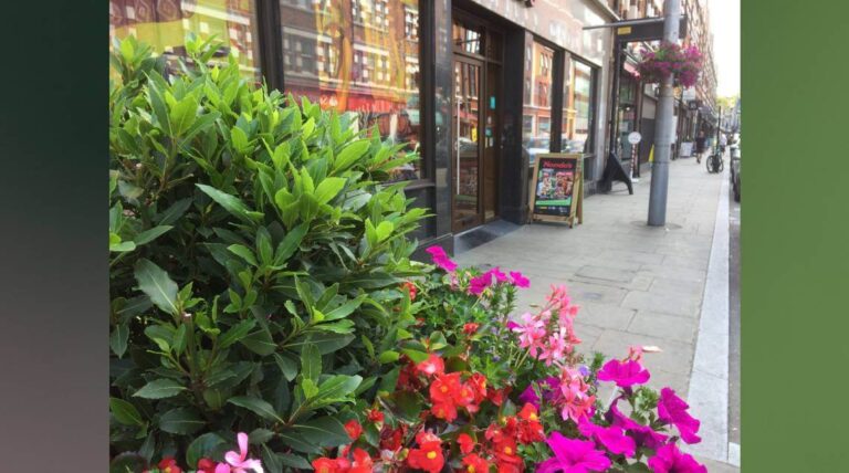 formatted_flower_basket_image